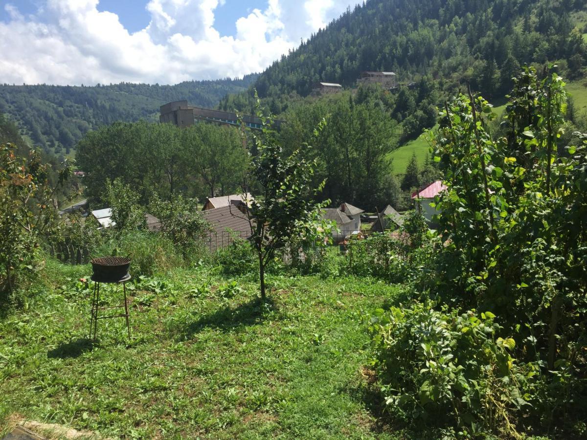 Acasa In Bicaz-Chei - Camere De Inchiriat Cheile Bicazului Esterno foto